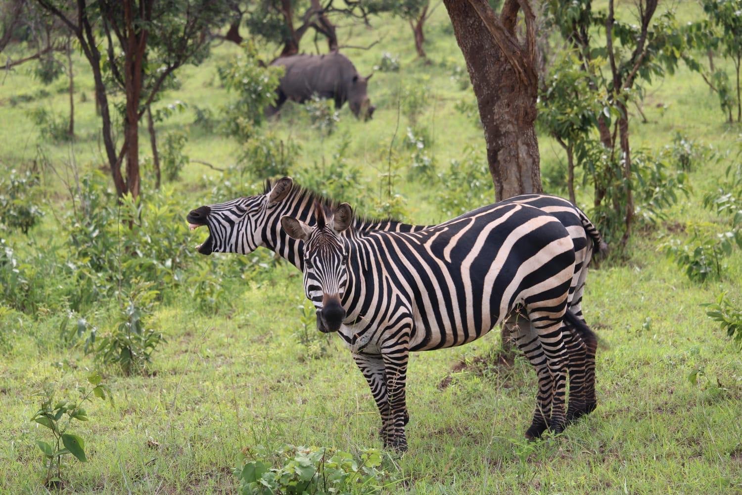 Waterbuck Tours