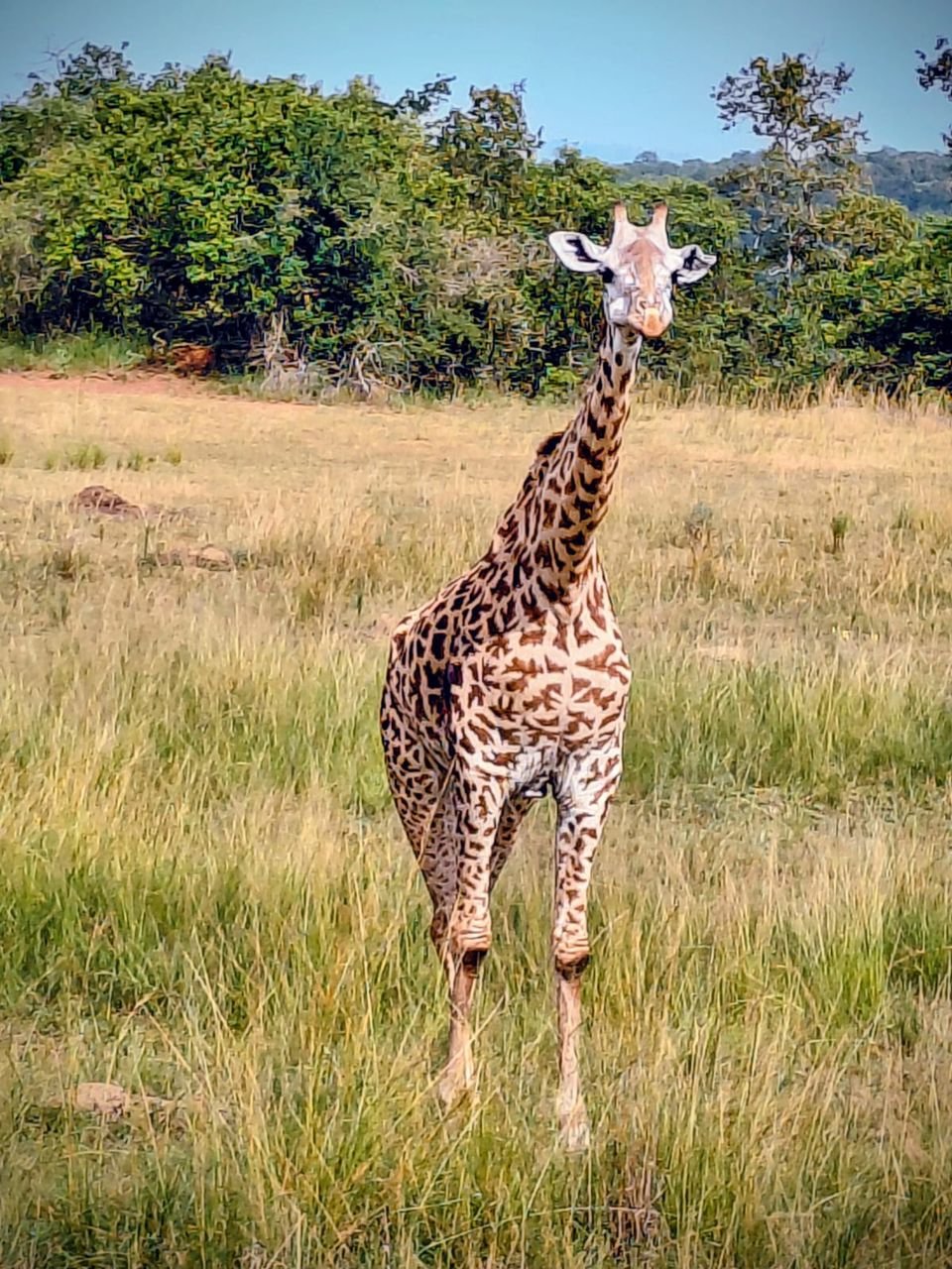 Waterbuck Tours